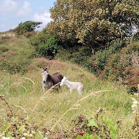 Ballyconneely House Голуей Екстериор снимка